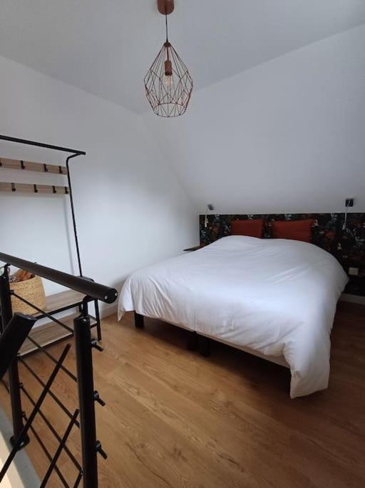 Au Petit Nid Appartement Bergues